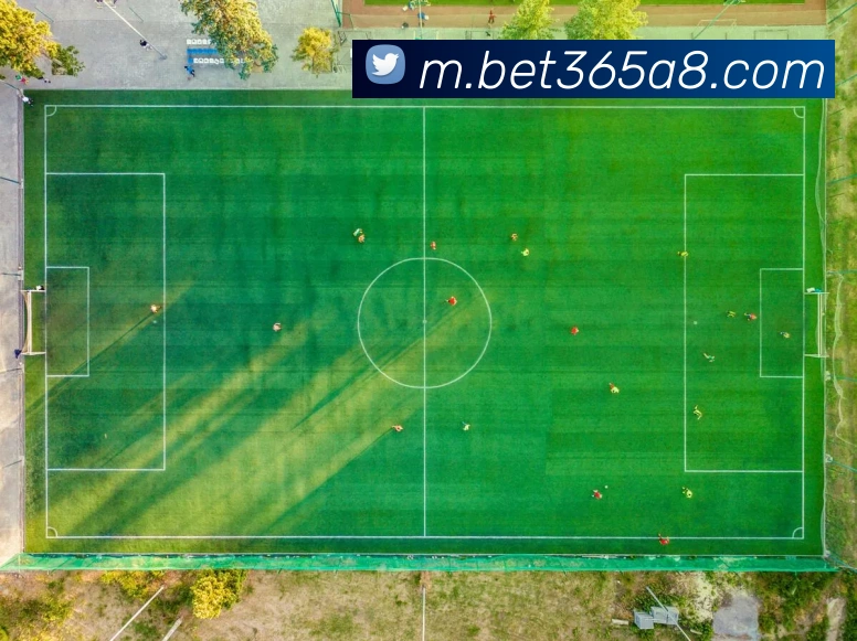 bet365中国官网APP 封面图